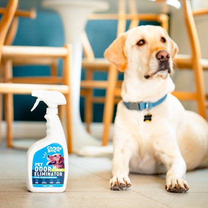 The Ultimate Pet Odor And Stain Eliminator - Charlie & Max®